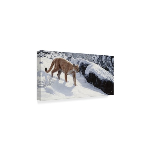 Ron Parker 'Soft Snow Cougar' Canvas Art,10x19